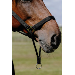 Cabezada Norton Educativa Negro Cabezada Norton Educativa Negro