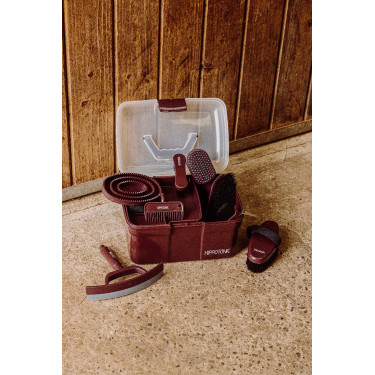 Caja de limpieza HIPPOTONIC - Purpurina Burdeos