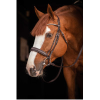 Cabezada de montar PENELOPE - Daily Strass Havana Marrón