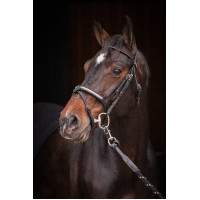 Cabezada PENELOPE - Symphonie SR - Negro