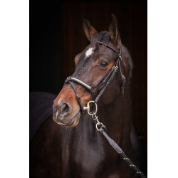 Cabezada PENELOPE - Symphonie SR - Negro