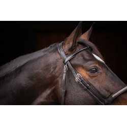 Cabezada PENELOPE - Symphonie SR - Negro