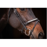 Cabezada PENELOPE - Symphonie SR - Havana Marrón Cabezada PENELOPE - Symphonie SR - Havana Marrón