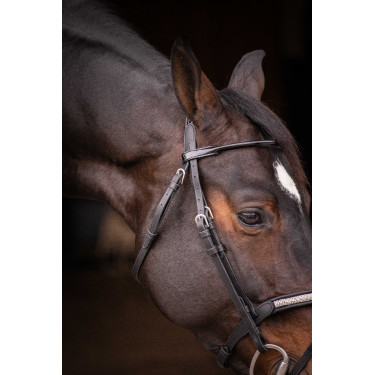 Cabezada PENELOPE - Symphonie SR - Negro