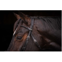 Cabezada PENELOPE - Symphonie SR - Havana Marrón Cabezada PENELOPE - Symphonie SR - Havana Marrón