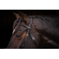 Cabezada PENELOPE - Symphonie SR - Negro