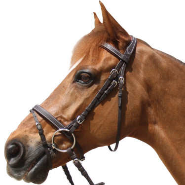 Cabezada Privilege Equitation Grandville Cabezada Privilege Equitation Grandville