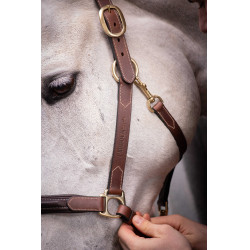 Cabezada de cuero con 3 mosquetones – PADDOCK Havana Marrón