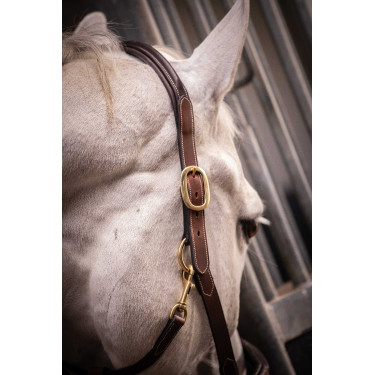 Cabezada de cuero con 3 mosquetones – PADDOCK Havana Marrón