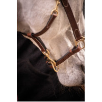 Cabezada de cuero con 3 mosquetones – PADDOCK Havana Marrón