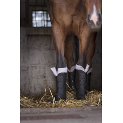 Protectores de descanso Norton