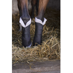 Protectores de descanso Norton