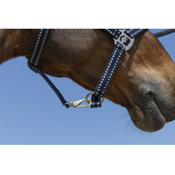 Cabezada Norton Grooming Azul marino Cabezada Norton Grooming Azul marino