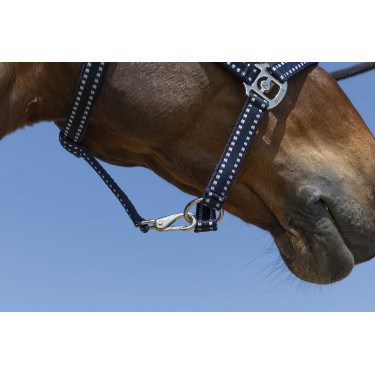 Cabezada Norton Grooming Azul marino Cabezada Norton Grooming Azul marino