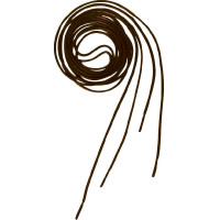 Cordones Equi-Theme Castaño Marrón