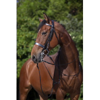 Cabezada Riding World Negro