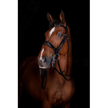 Riendas lisas Eric Thomas ELITE 16 mm Negro