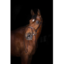 Riendas Hunter Eric Thomas ELITE 16 mm