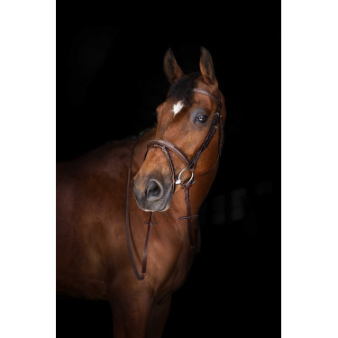 Riendas Hunter Eric Thomas ELITE 16 mm