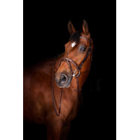 Riendas Hunter Eric Thomas ELITE 16 mm Havana Marrón