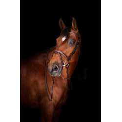 Riendas Hunter Eric Thomas ELITE 16 mm