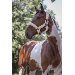 Cabezada Norton Full de borreguillo sintético Negro / crudo