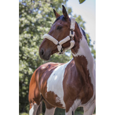 Cabezada Norton Full de borreguillo sintético Negro / crudo