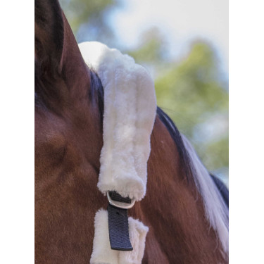 Cabezada Norton Full de borreguillo sintético Negro / crudo