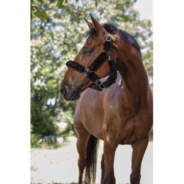 Cabezada Norton Full de borreguillo sintético Negro / negro