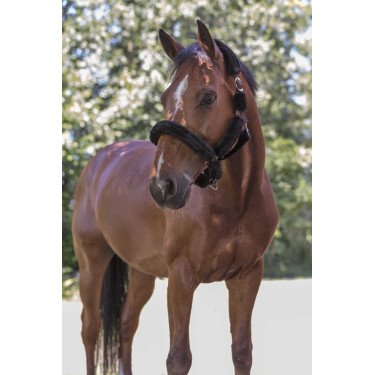 Cabezada Norton Full de borreguillo sintético Negro / negro