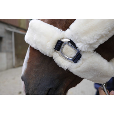 Cabezada Equi-Theme Teddy Marina / crudo Azul