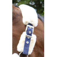 Cabezada Equi-Theme Teddy Verde / marrón