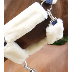 Cabezada Equi-Theme Teddy Marina / crudo Azul