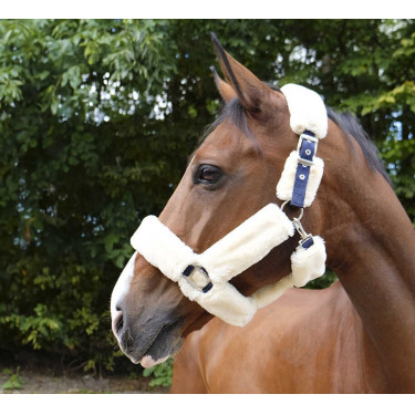 Cabezada Equi-Theme Teddy Marina / crudo Azul