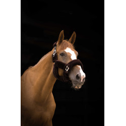 Cabezada Equi-Theme Teddy Negro / marrón