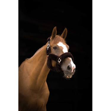 Cabezada Equi-Theme Teddy Negro / marrón