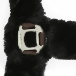 Cabezada Equi-Theme Teddy Negro / marrón