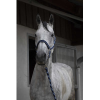 Cabezada + ramal Equitheme Satinado Marino / cielo azul