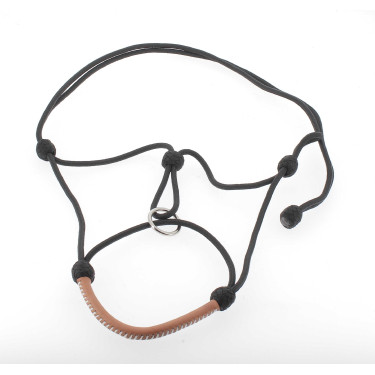 Cabezada de cuadra Pénélope American Negro