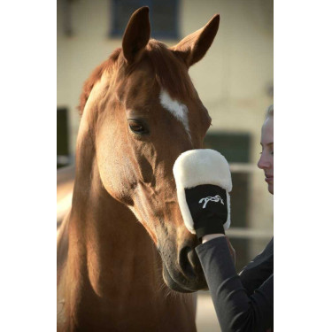 Guante de limpieza Pénélope Negro