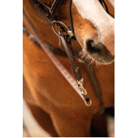 Entrenamiento Pénélope Howlett Havana Marrón