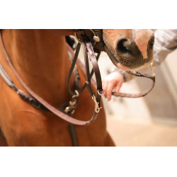 Entrenamiento Pénélope Howlett Entrenamiento Pénélope Howlett