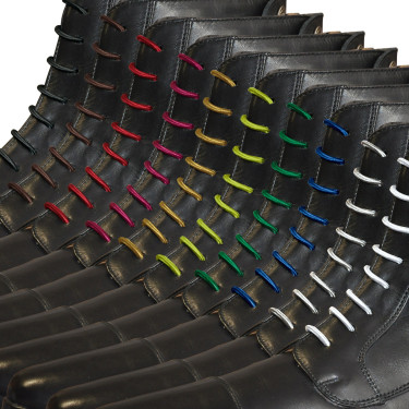 Cordones elásticos Privilege Equitation