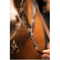 Entrenamiento Pénélope Howlett Havana Marrón