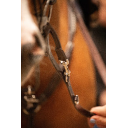 Entrenamiento Pénélope Howlett Entrenamiento Pénélope Howlett