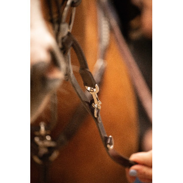 Entrenamiento Pénélope Howlett Entrenamiento Pénélope Howlett