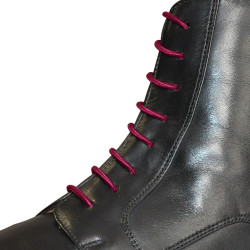 Cordones elásticos Privilege Equitation Cordones elásticos Privilege Equitation