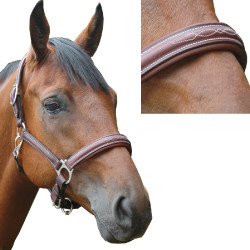 Cabezada de cuadra Privilege Equitation Royan Castaño