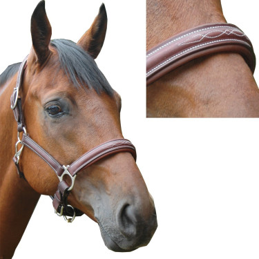 Cabezada de cuadra Privilege Equitation Royan Castaño