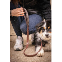 Correa para perros Pénélope Rubber Havana Marrón